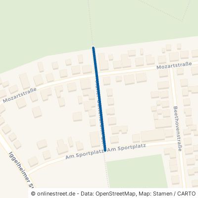 Müller-Guttenbrunn-Straße 67373 Dudenhofen 