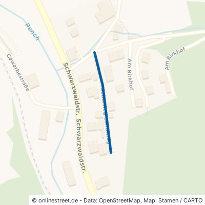Schulweg Oppenau Ibach-Löcherberg 