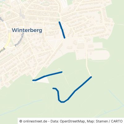 Kreuzbergweg Winterberg 