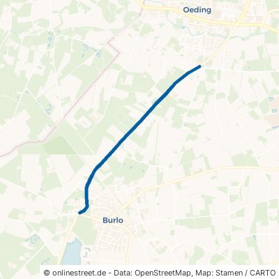 Oedinger Straße Borken Borkenwirthe/Burlo 