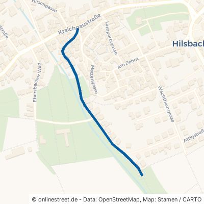 Unter der Stadt 74889 Sinsheim Hilsbach Hilsbach
