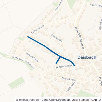Vierlingstraße Waibstadt Daisbach 