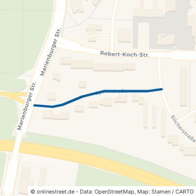 Spohrstraße 38642 Goslar 