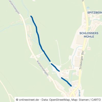 Irma-Oerlein-Weg Furtwangen im Schwarzwald 