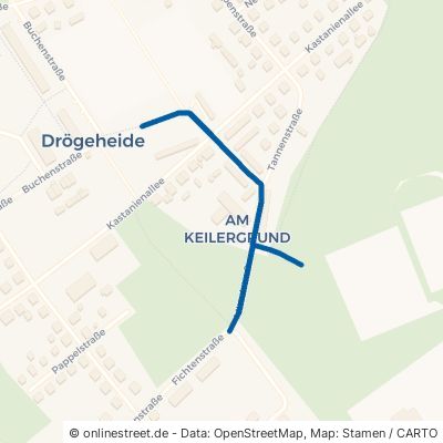 Mittelstraße 17358 Torgelow Drögeheide 