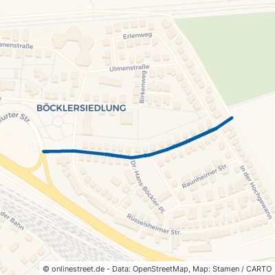 Flörsheimer Straße Bischofsheim 