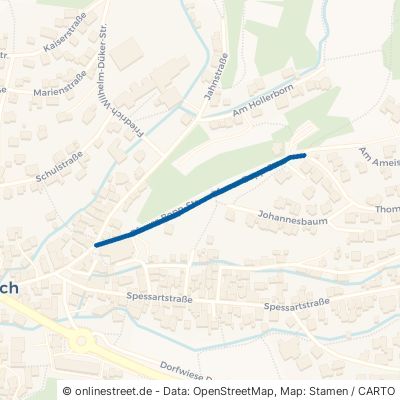 Pfarrer-Bopp-Straße 63846 Laufach 