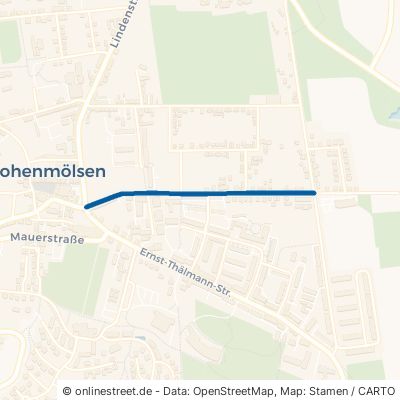 Goethestraße Hohenmölsen Zetzsch 