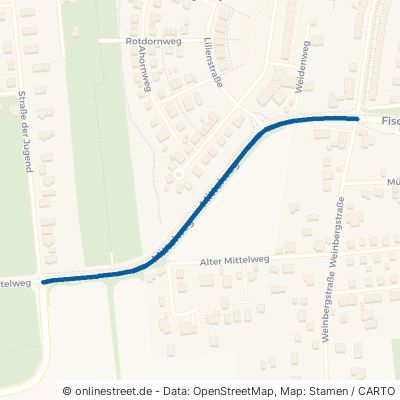 Neuer Mittelweg Eilenburg Wedelwitz 