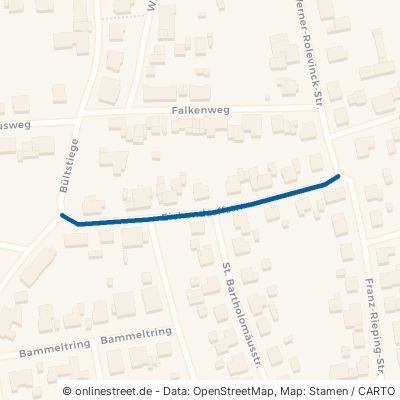 Eichendorffstraße 48366 Laer 