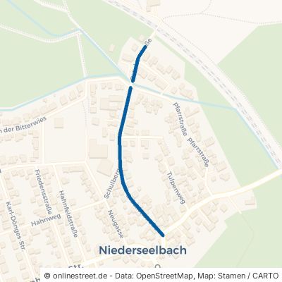 Brückenstraße 65527 Niedernhausen Niederseelbach 