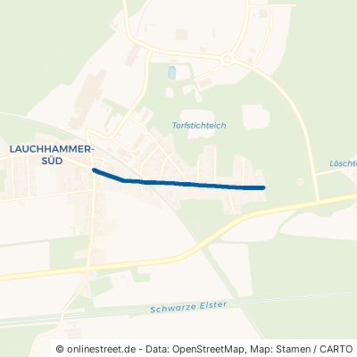 Schwarzheider Straße 01979 Lauchhammer 