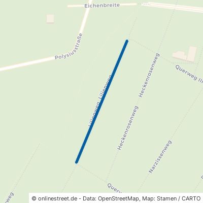 Lilienweg Dessau-Roßlau Törten 