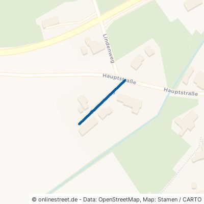 Tannenweg 54610 Büdesheim 