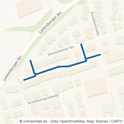 Dr.-Hermann-Brunn-Straße 69198 Schriesheim 