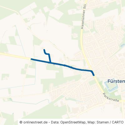 Lingener Straße 49584 Fürstenau 