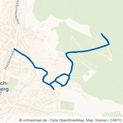 Bergweg Steinbach-Hallenberg 