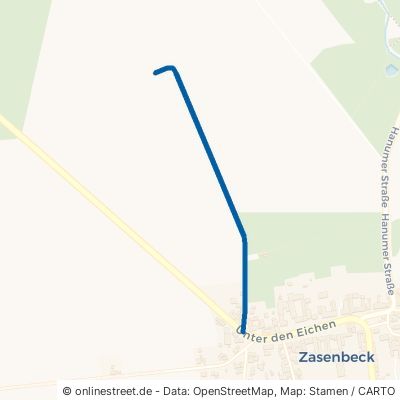 Alter Weg Wittingen Zasenbeck 