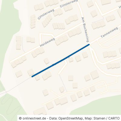 Tannenweg 55442 Stromberg 