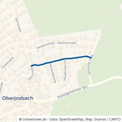 Holunderweg Niedernhausen Oberjosbach 