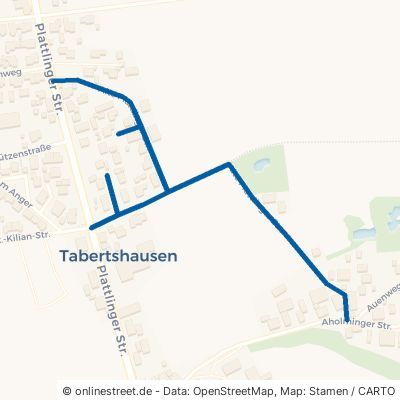 Alte Plattlinger Straße Aholming Tabertshausen 