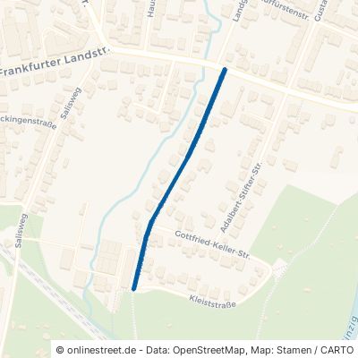 Theodor-Fontane-Straße 63452 Hanau 