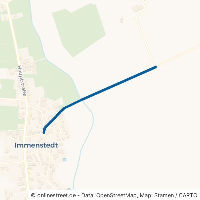 Waldweg Immenstedt 