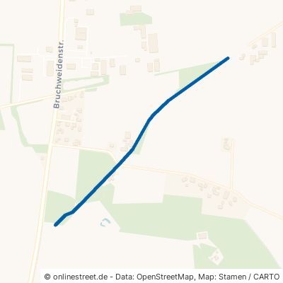 Sandbirkenweg Goldenstedt Kardinal-Graf-von-Galen-Siedlung 