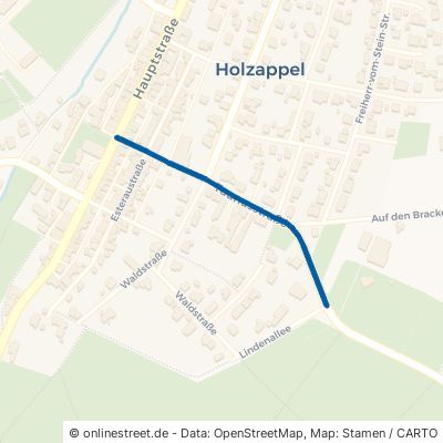 Taunusstraße Holzappel 