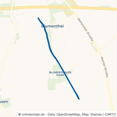 Neheimer Weg Werl Blumenthal 