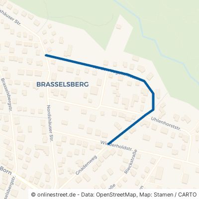 An den Vogelwiesen Kassel Brasselsberg 