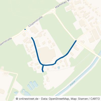 Hammer-Tannen-Straße Haselünne 