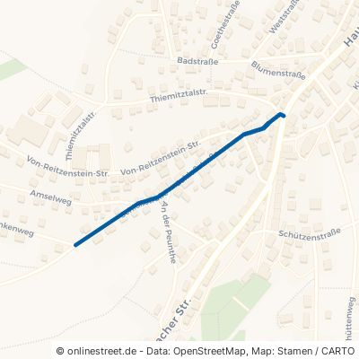 Schloßstraße Schwarzenbach am Wald Schwarzenbach a Wald 