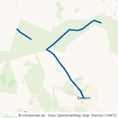 Waldweg Sassen-Trantow Sassen 
