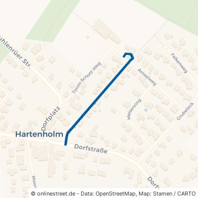 Bürgermeisterweg Hartenholm 