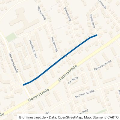 Eschenweg 24782 Büdelsdorf 
