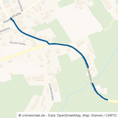 Schwarzenberger Straße Lauter-Bernsbach Lauter 