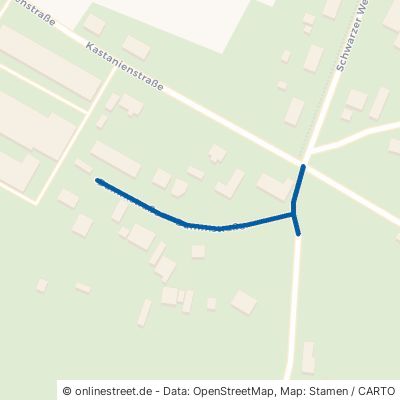 Dammstraße Ahrenshagen-Daskow Pantlitz 