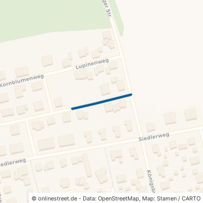 Lavendelweg Hiddenhausen Eilshausen 