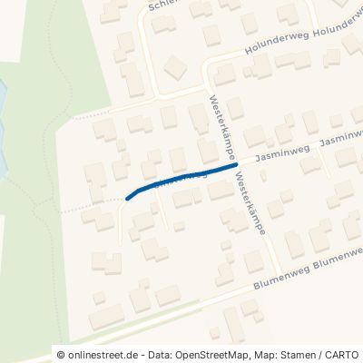 Ginsterweg 27252 Schwaförden 