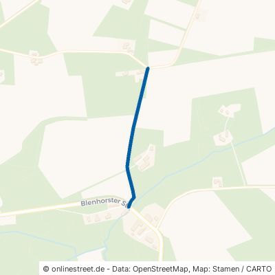 Schwarzer Weg Balge Blenhorst 