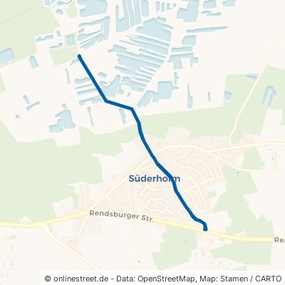 Amtmann-Rohde-Straße Heide Süderholm 