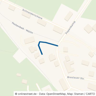 Hein-Hollenbek-Weg 23879 Mölln 