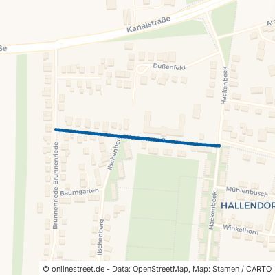 Westernstraße 38229 Salzgitter Hallendorf Hallendorf