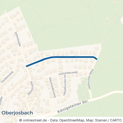 Weidenstraße 65527 Niedernhausen Oberjosbach 