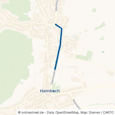 Dammstraße 67434 Neustadt an der Weinstraße Hambach