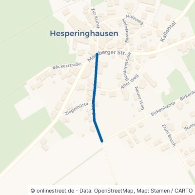 Schützenstraße 34474 Diemelstadt Hesperinghausen 