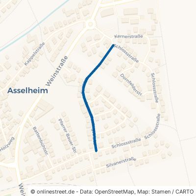 Rieslingstraße Grünstadt Asselheim 