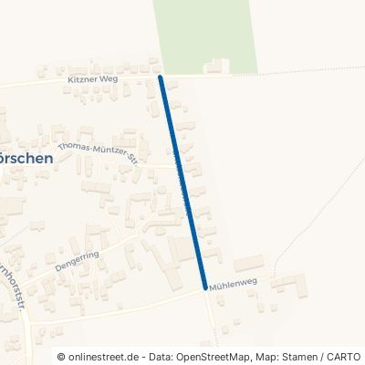 Gneisenaustraße 06686 Lützen Großgörschen 
