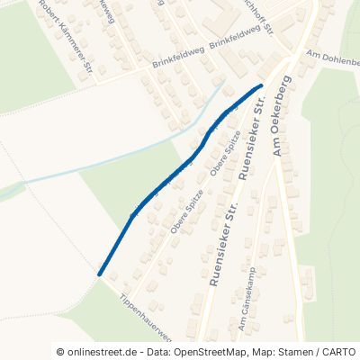 Spitzweg Schieder-Schwalenberg Schwalenberg 